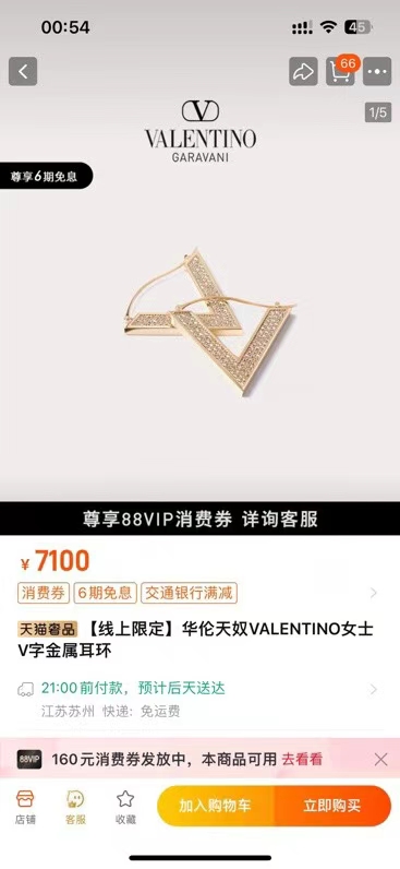 Valentino earring 05lyx72 (23)